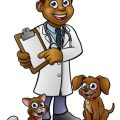 Government & NGO Support for Orthopaedic Rehabilitation in India: A Program Review